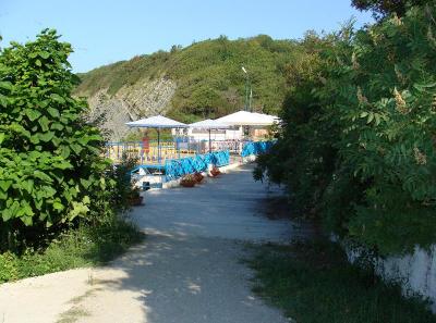 Image12