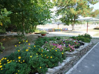 Image14